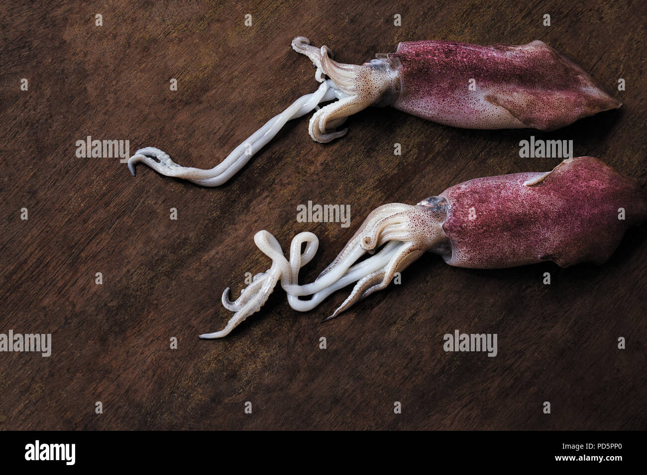 9,224 Baby Squid Royalty-Free Images, Stock Photos & Pictures