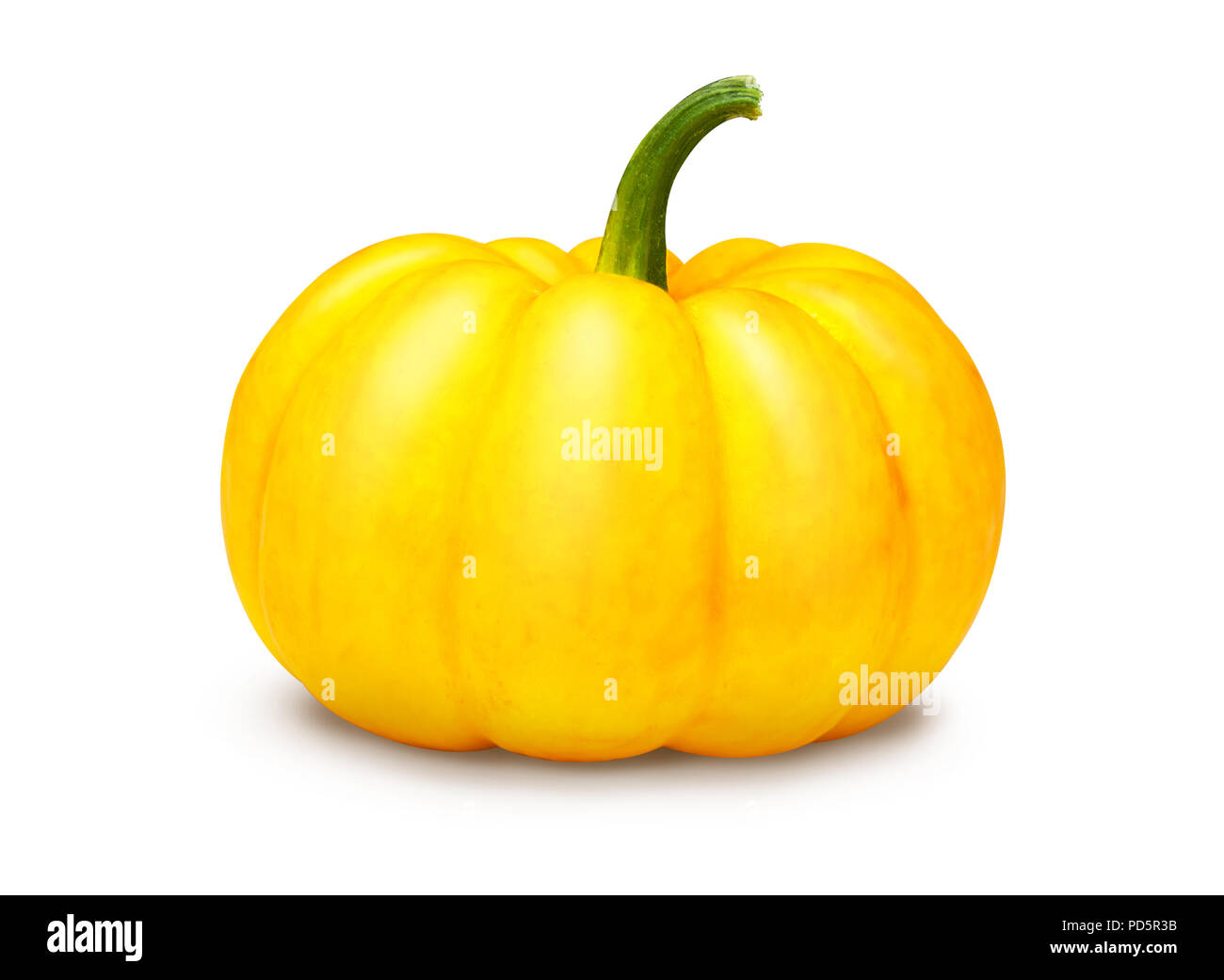 mini pumpkin isolated on a white background Stock Photo - Alamy