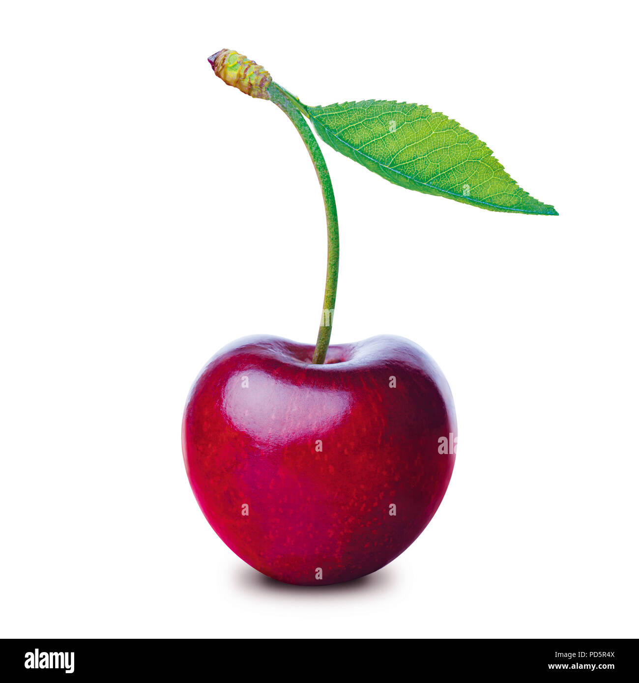 One ripe cherry with leaf isolated on white background Stock Photo - Alamy