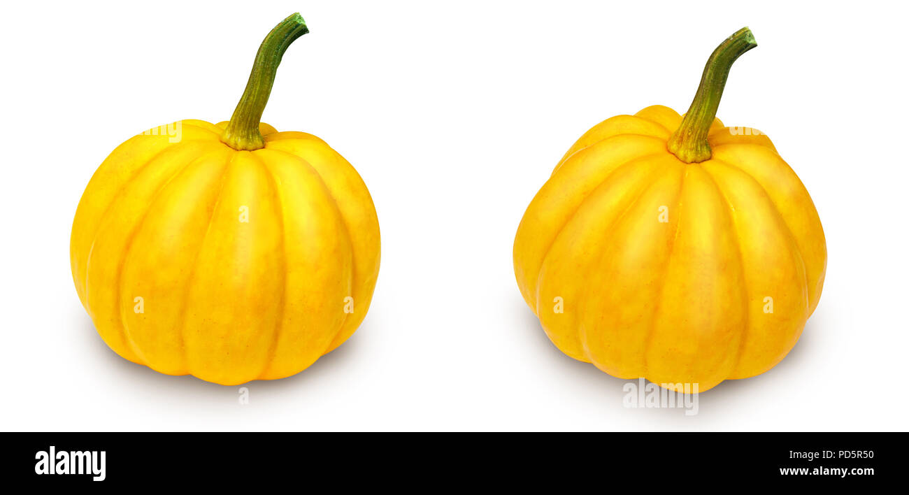 Two mini pumpkins isolated on a white background Stock Photo - Alamy