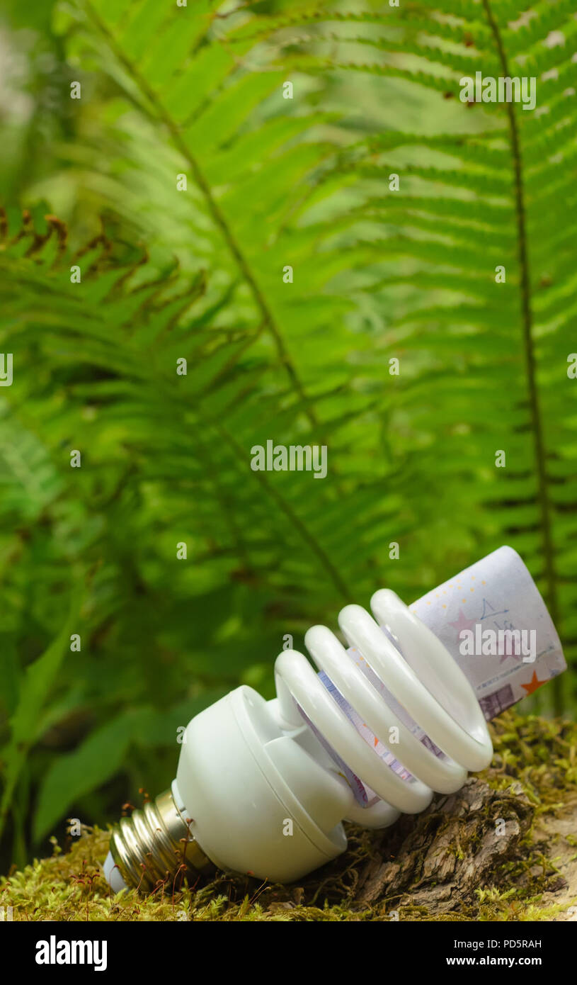 Energy-saving lamp and inserted into it the Euro banknote against the green fern. Stock Photo