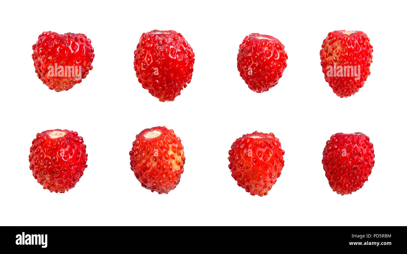 Wild strawberry isolated on white background Stock Photo - Alamy