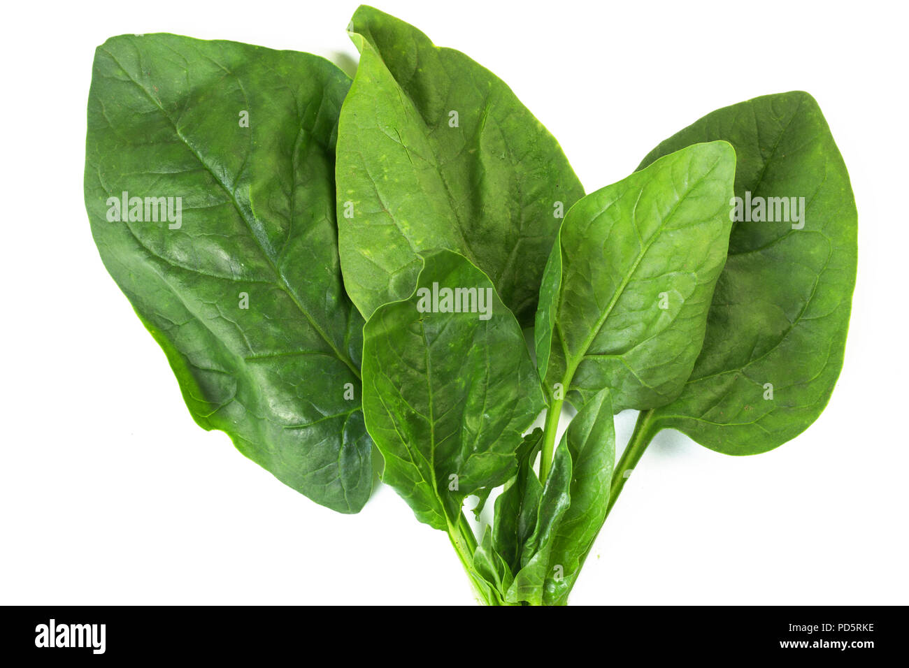 Bunch of fresh spinach leaves isolated on white background Stock Photo -  Alamy