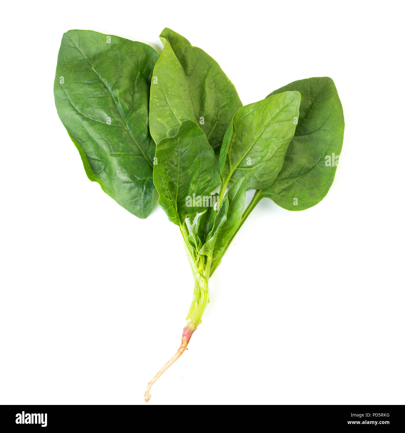 Bunch of fresh spinach leaves isolated on white background Stock Photo ...
