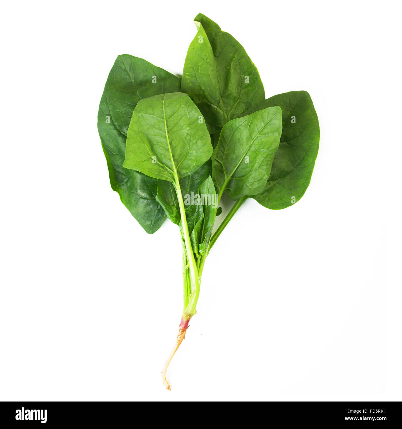 Bunch of fresh spinach leaves isolated on white background Stock Photo ...