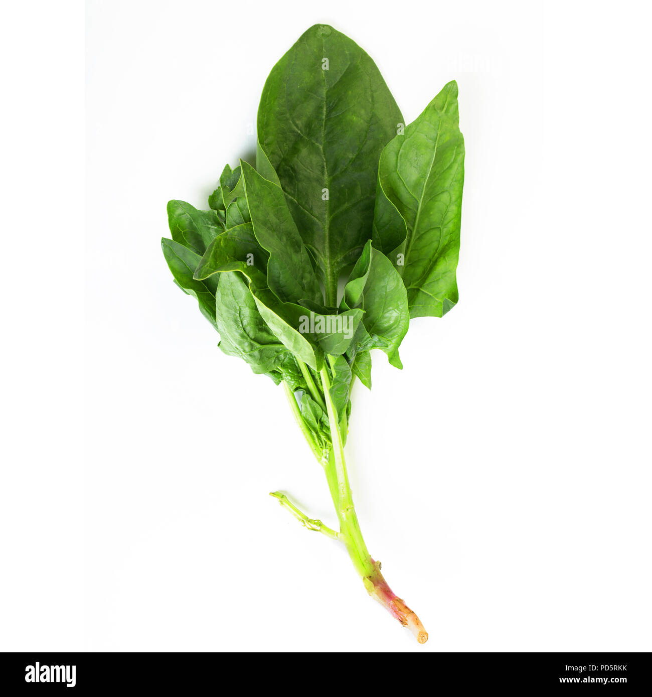 Bunch of fresh spinach leaves isolated on white background Stock Photo ...