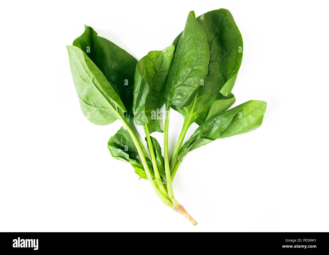 Bunch of fresh spinach leaves isolated on white background Stock Photo ...