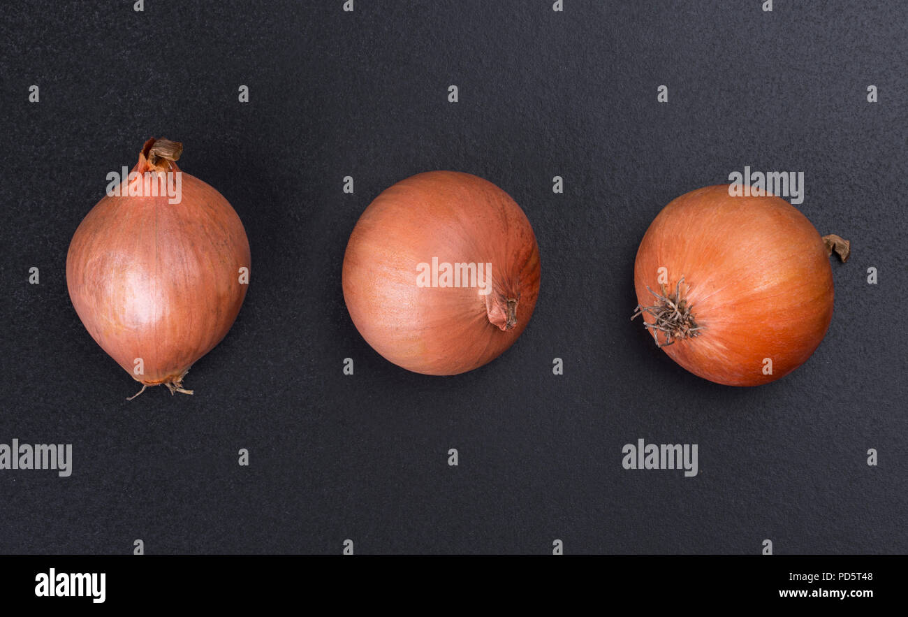 Three bulbs are isolated on a black background Stock Photo