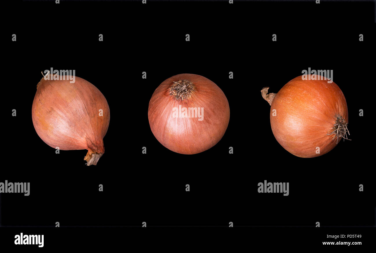 Three bulbs are isolated on a black background Stock Photo