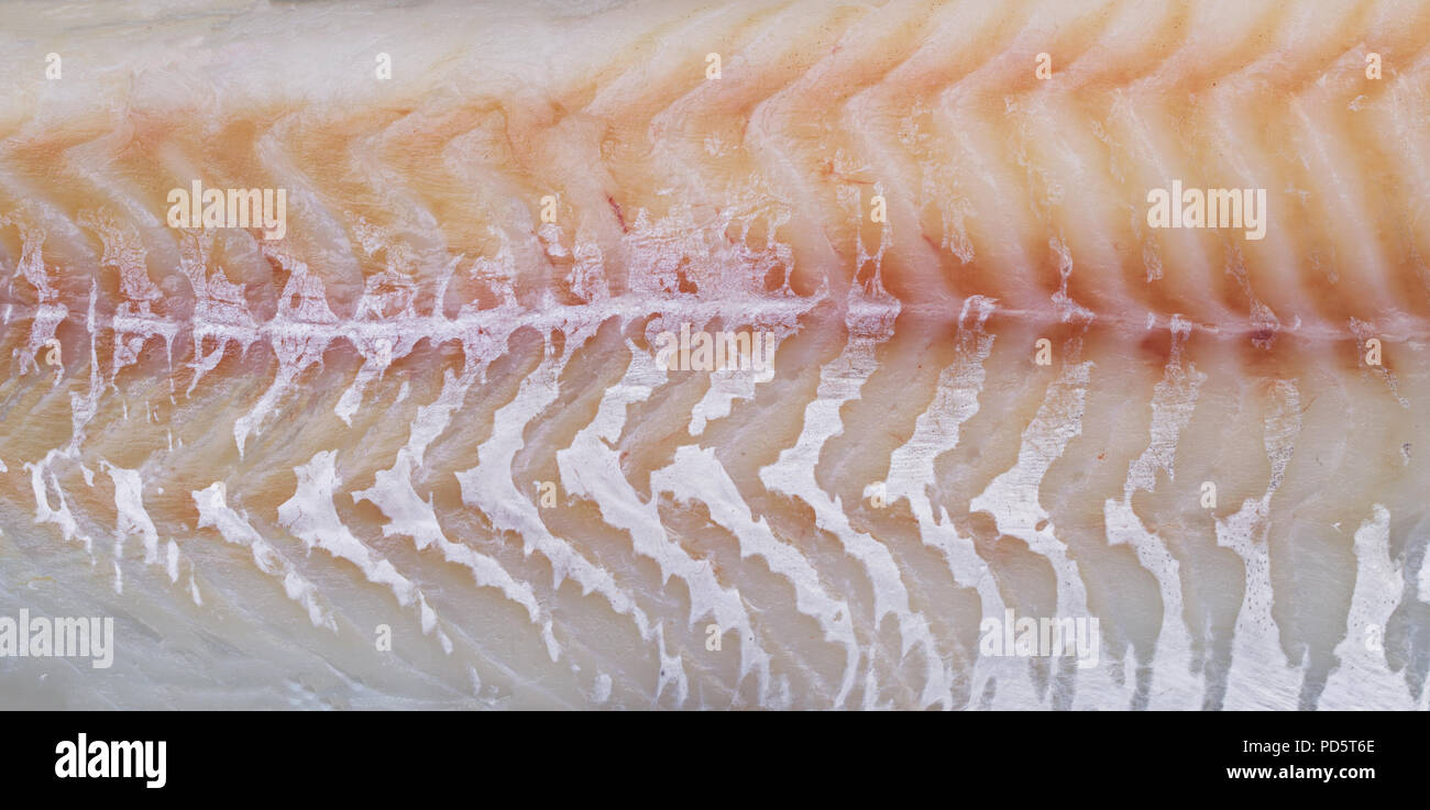 Macro Fillets Uncooked cod fillets hi-res stock photography and images - Alamy