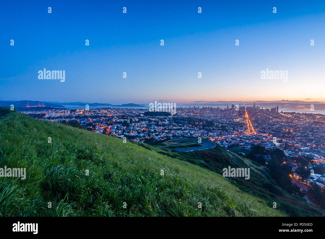 Tree point light hires stock photography and images Alamy
