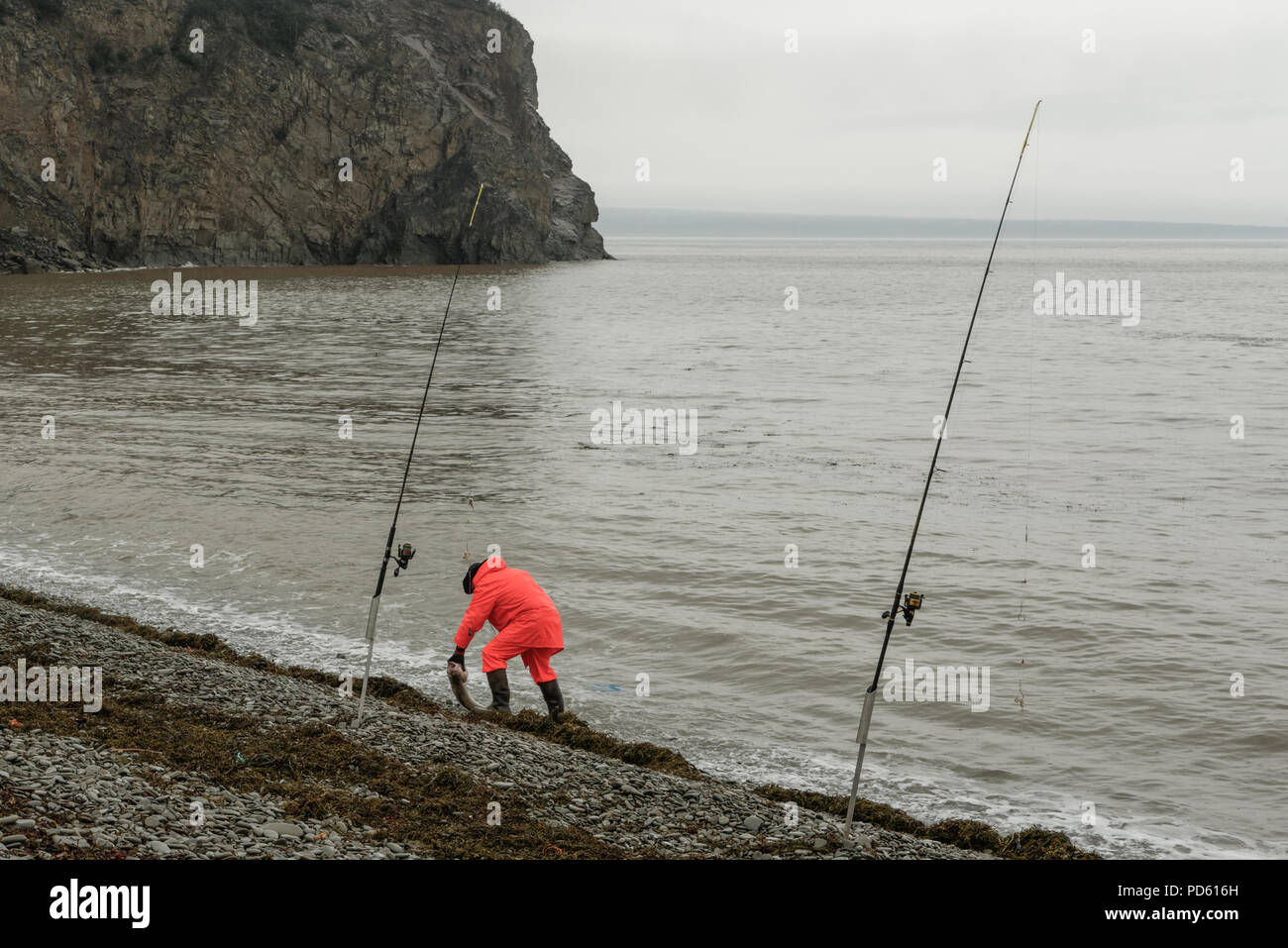 fisherman on a rainy day with his catch of the day in bright