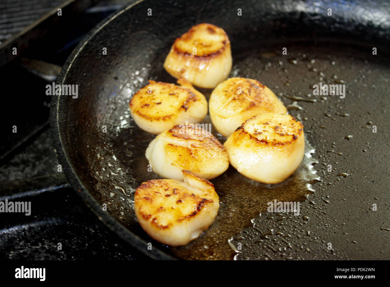 fresh cooked scallops Stock Photo Alamy