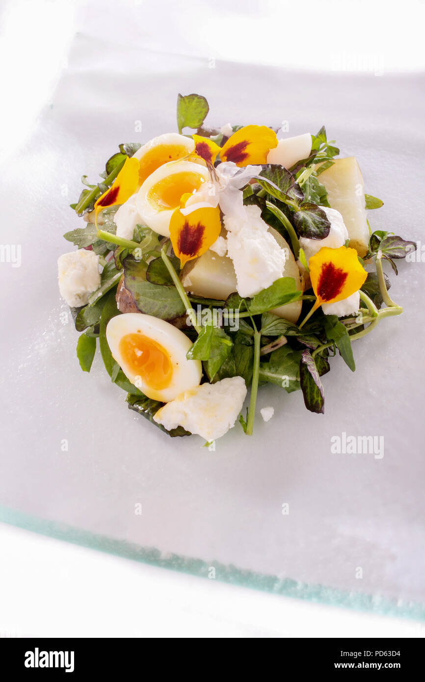 potato salad with quail egg Stock Photo