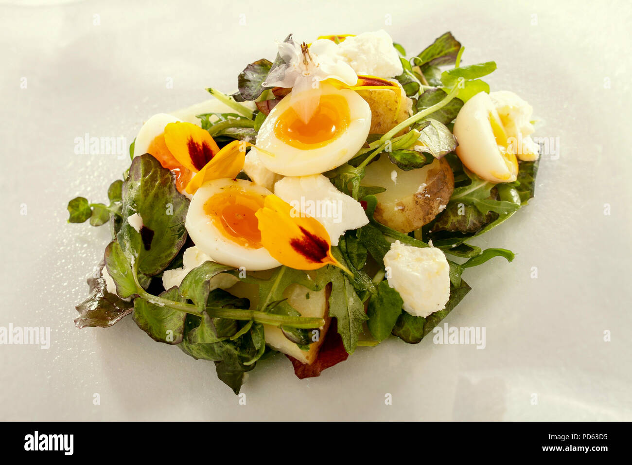 quail egg and potato salad Stock Photo