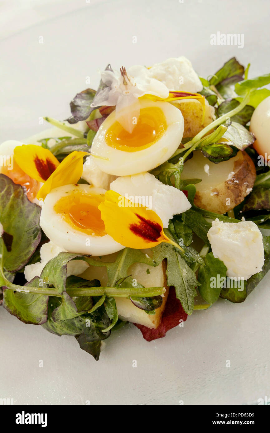 quail egg and potato salad Stock Photo