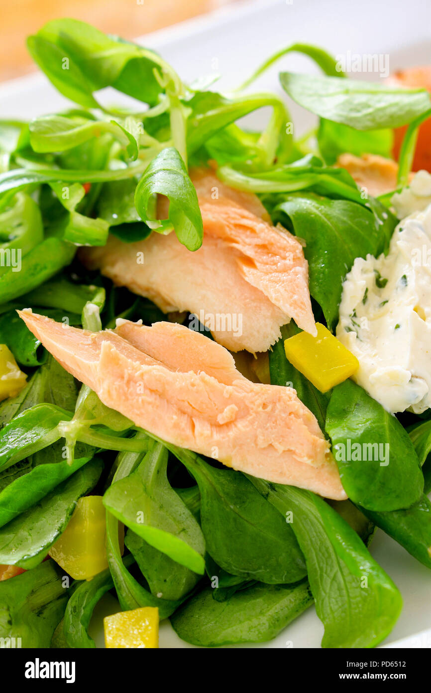 healthy hot smoked salmon salad Stock Photo - Alamy