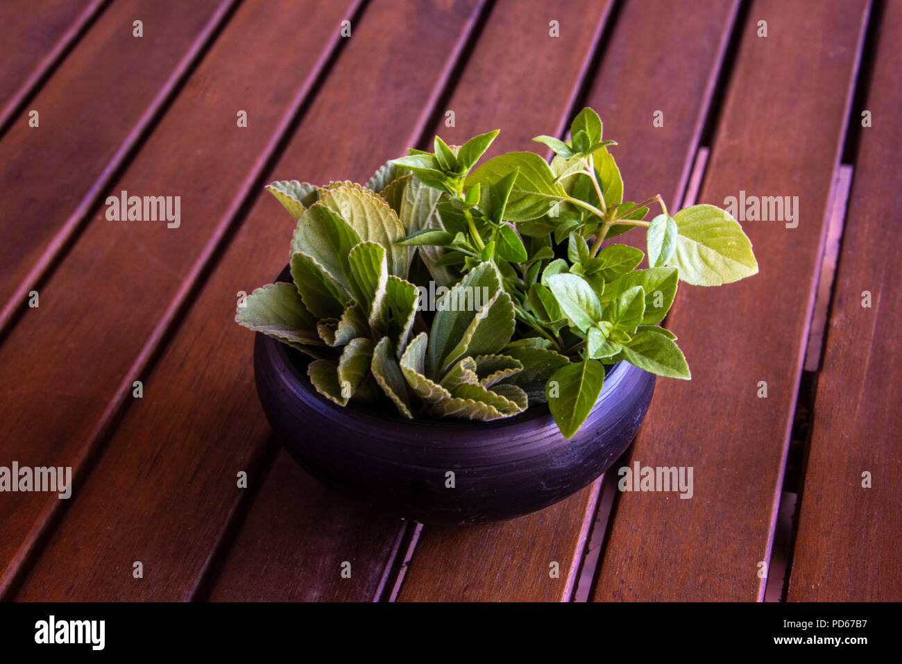 Small terracotta pot with herbs on a wooden table Stock Photo