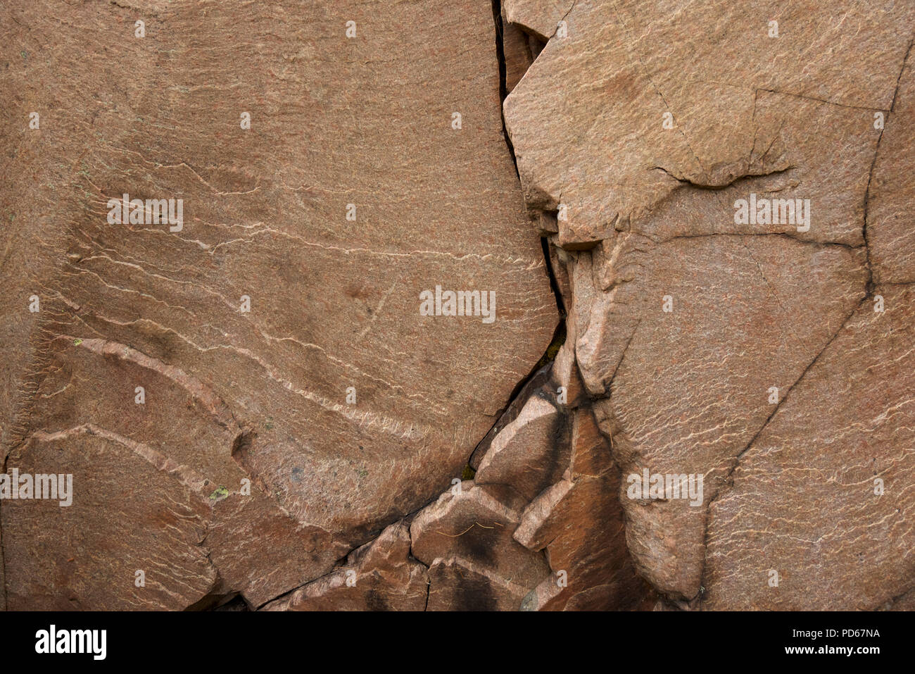 Pink granite of the Canadian Shield, typical of the bedrock in Killarney Park, Ontario. Stock Photo