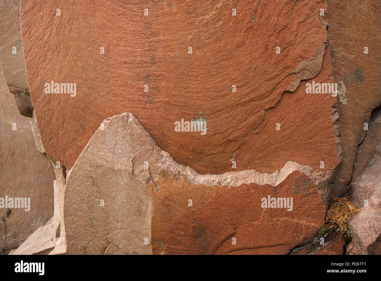 Pink granite of the Canadian Shield, typical of the bedrock in Killarney Park, Ontario. Stock Photo