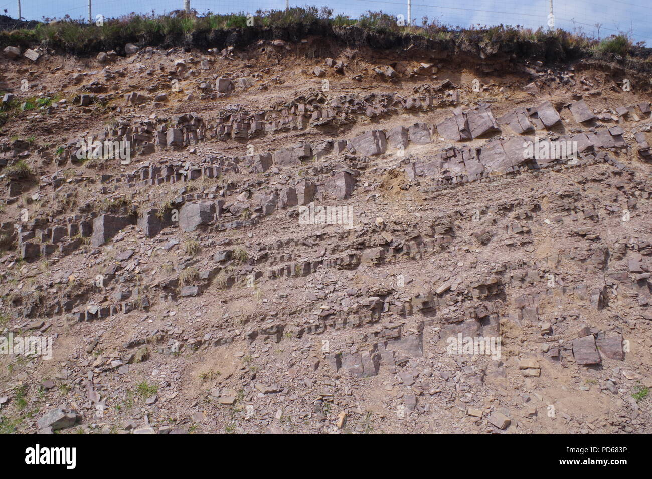 Stratigraphic Succession of Lithified River Sediment in a Road Cutting