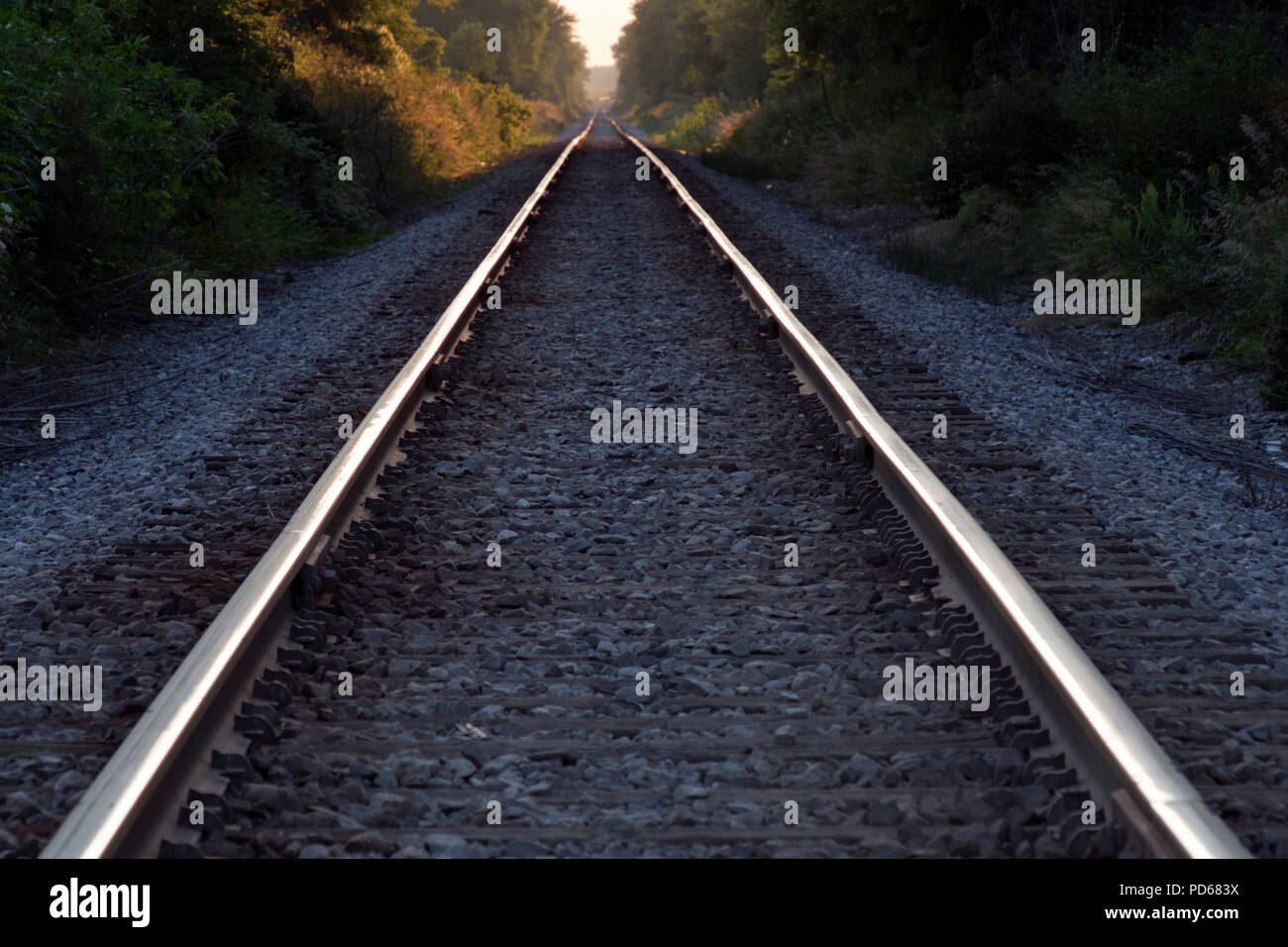 RAILS TO INFINITY Infinity sign in rail style railway loop logo | Premium Vector