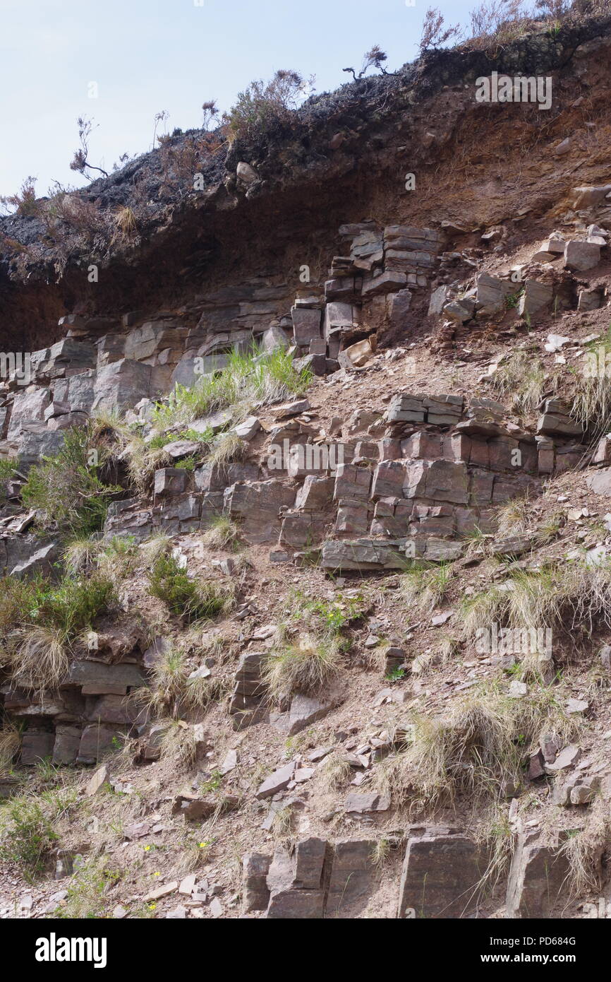 Stratigraphic Succession of Lithified River Sediment in a Road Cutting