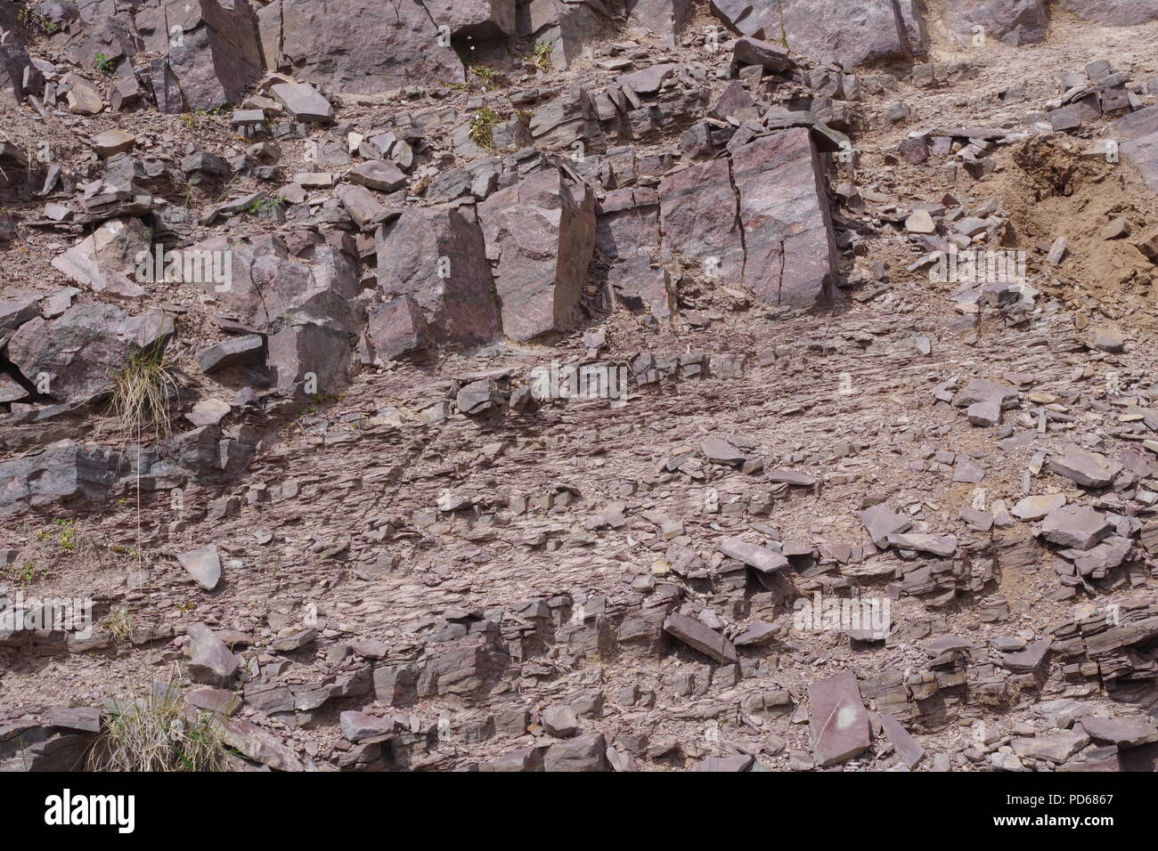 Stratigraphic Succession of Lithified River Sediment in a Road Cutting