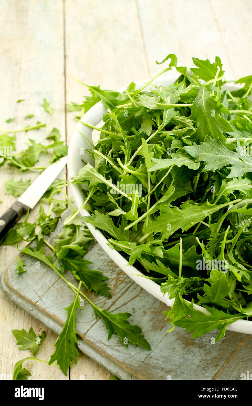 fresh salad leaves Stock Photo Alamy
