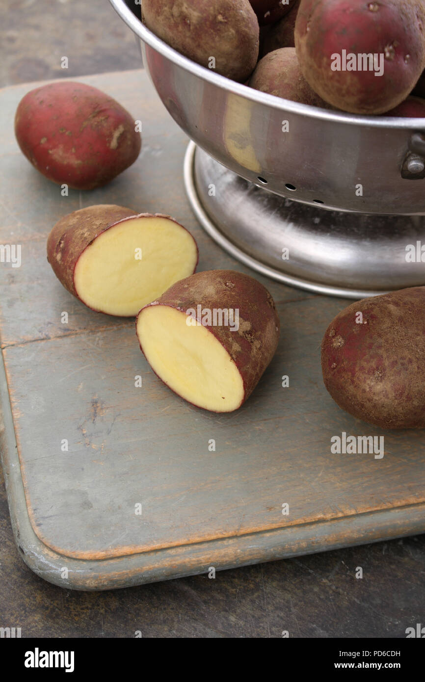Red duke of york potato variety hires stock photography and images Alamy