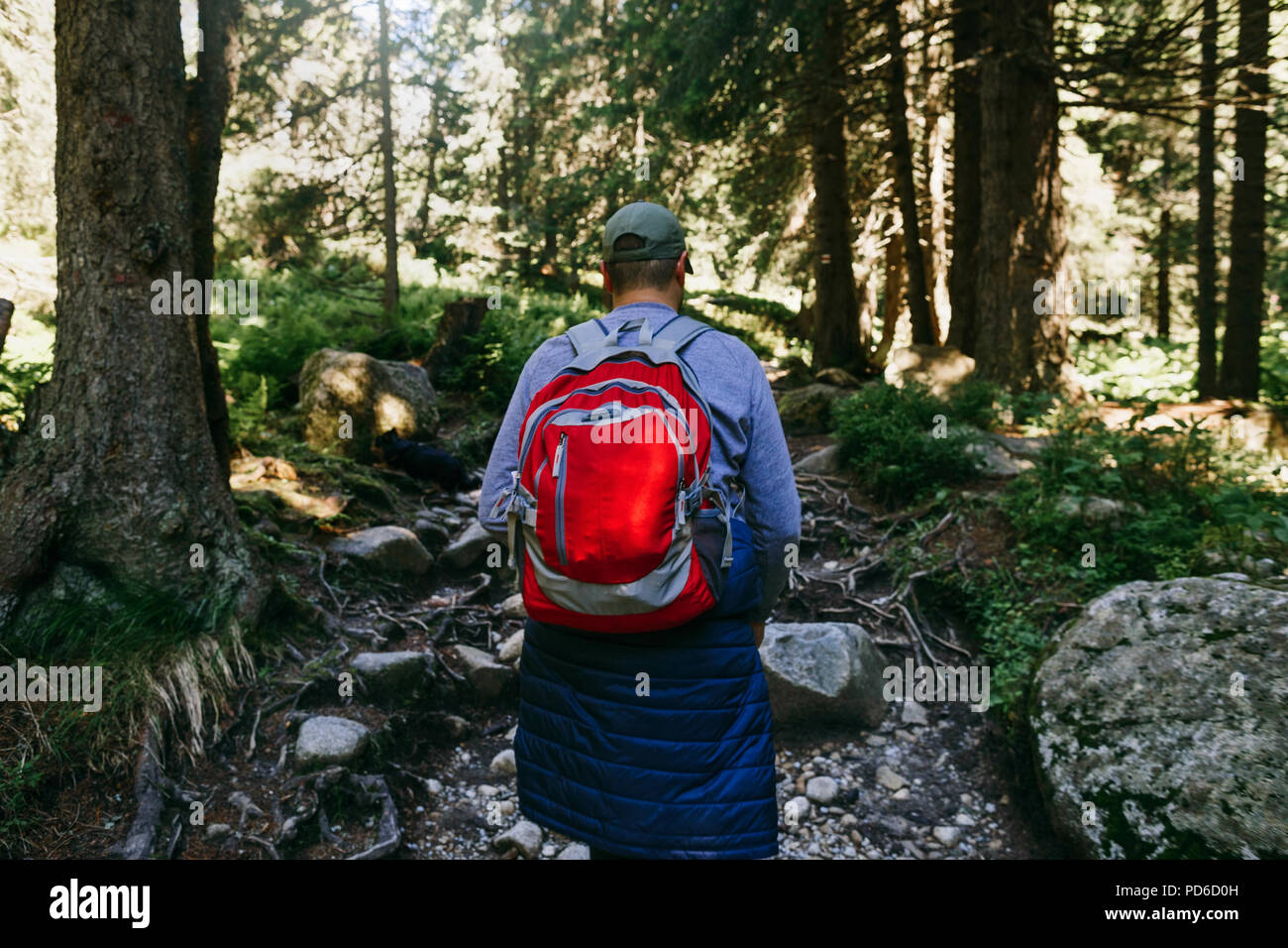 Man with backpack walking dense forest. Travel and backpacking lifestyle concept Stock Photo Alamy