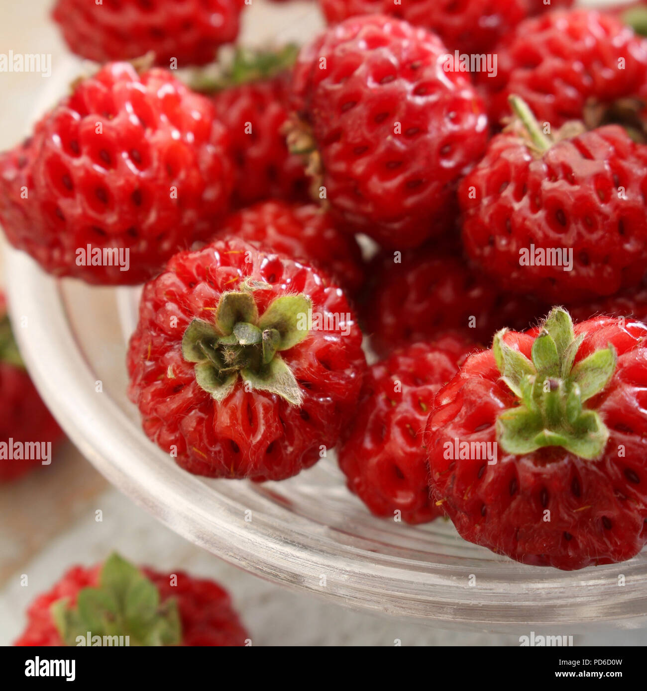 hybrid strasberry fruit in dish Stock Photo