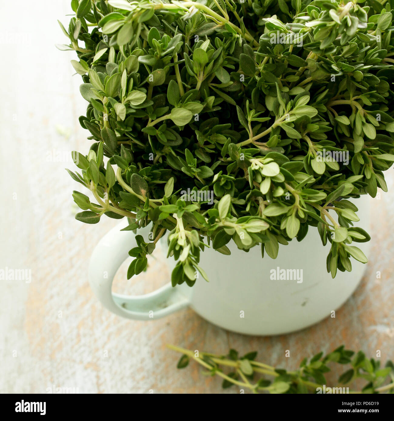 preparing fresh herb thyme Stock Photo Alamy