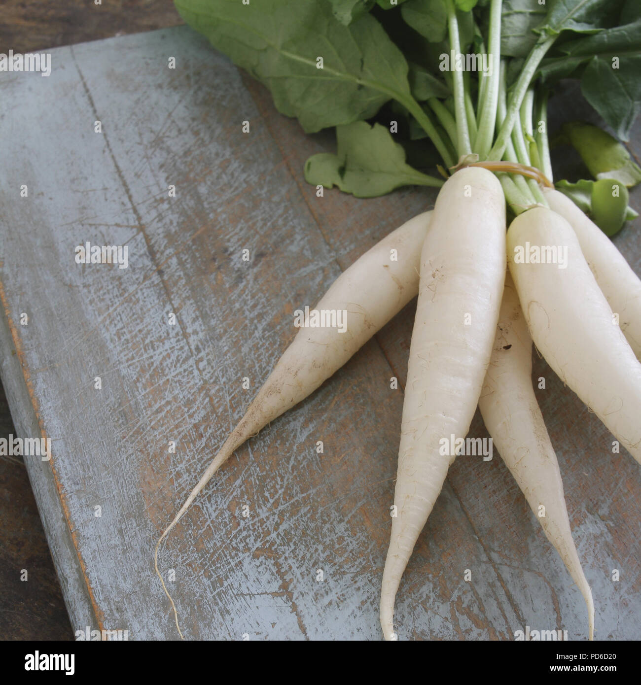 preparing fresh white radishes Stock Photo Alamy