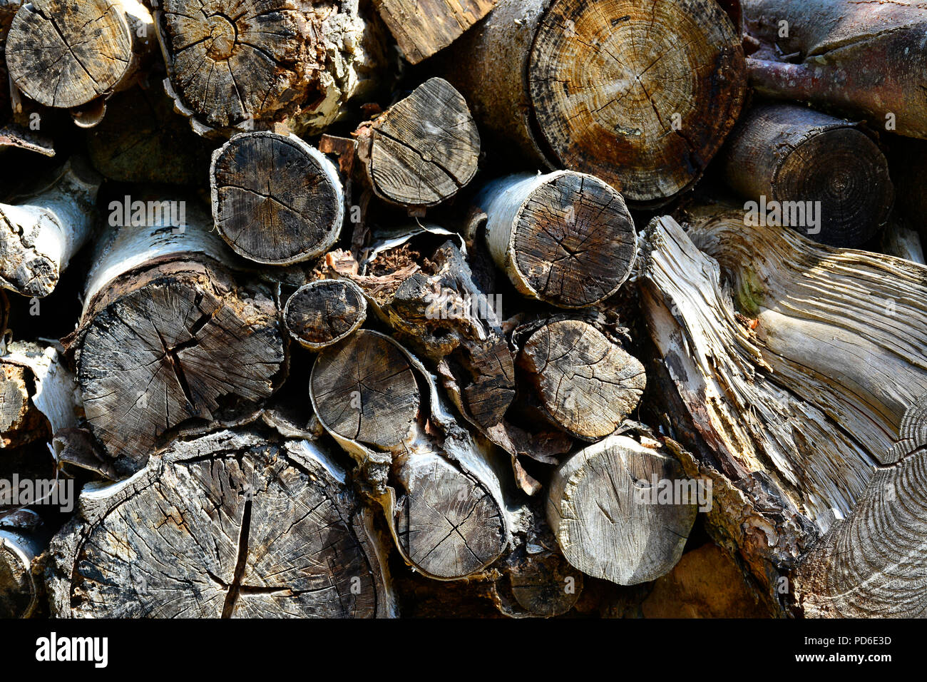 Stack chopped oak wood domestic hi-res stock photography and images - Alamy