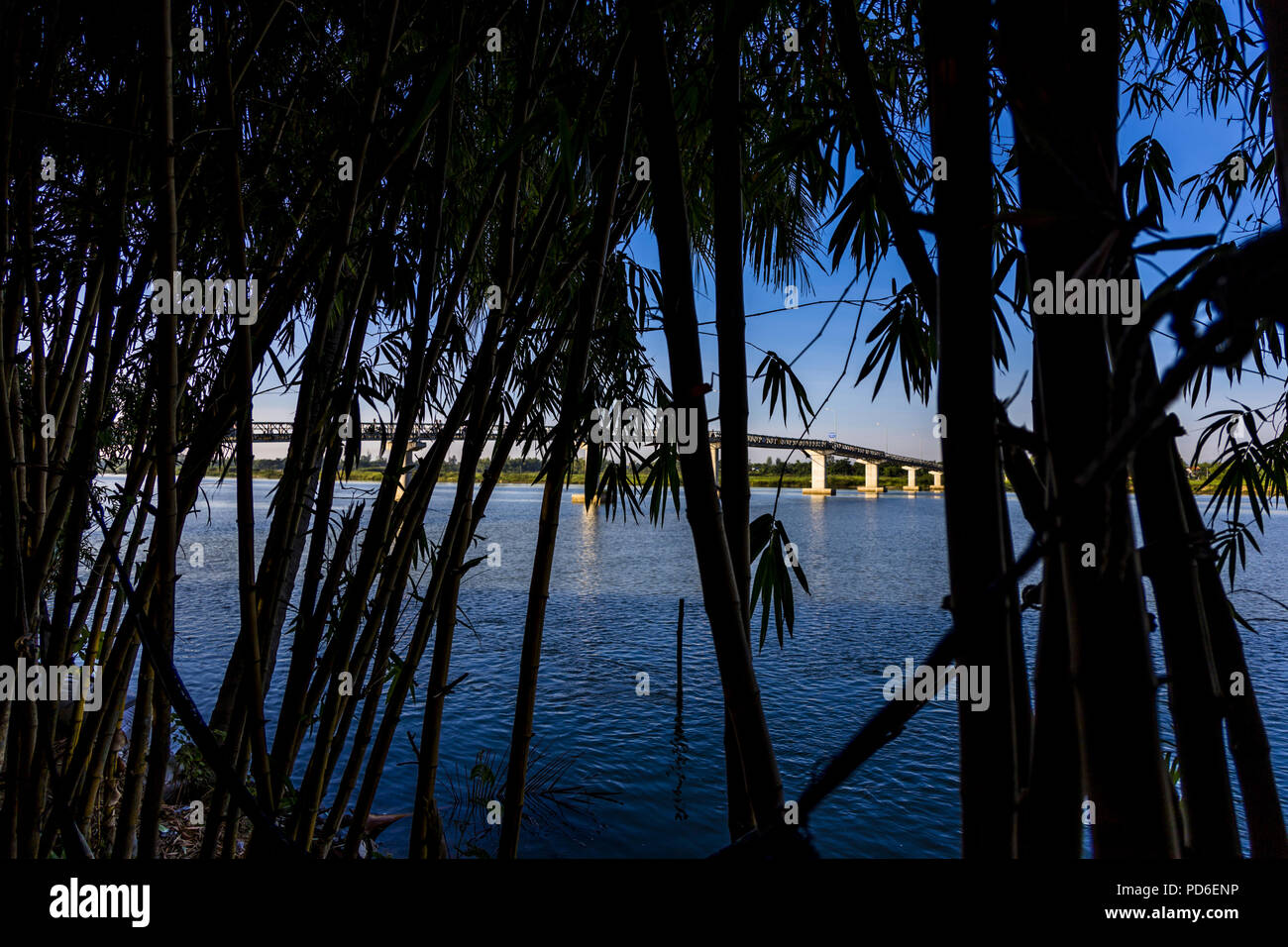 A scenic view through the silhouette of bamboo looking over the water and a bridge from Hoi An to Cam Kim Village. Blue water, blue sky and all throug Stock Photo