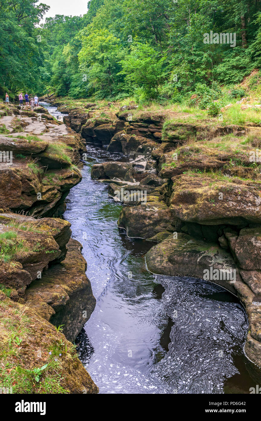 Bolton Abbey West Yorkshire River Wharfe The Strid Waterfall Strid Bolton Abbey West Yorkshire River Wharfe The Strid Waterfall Strid