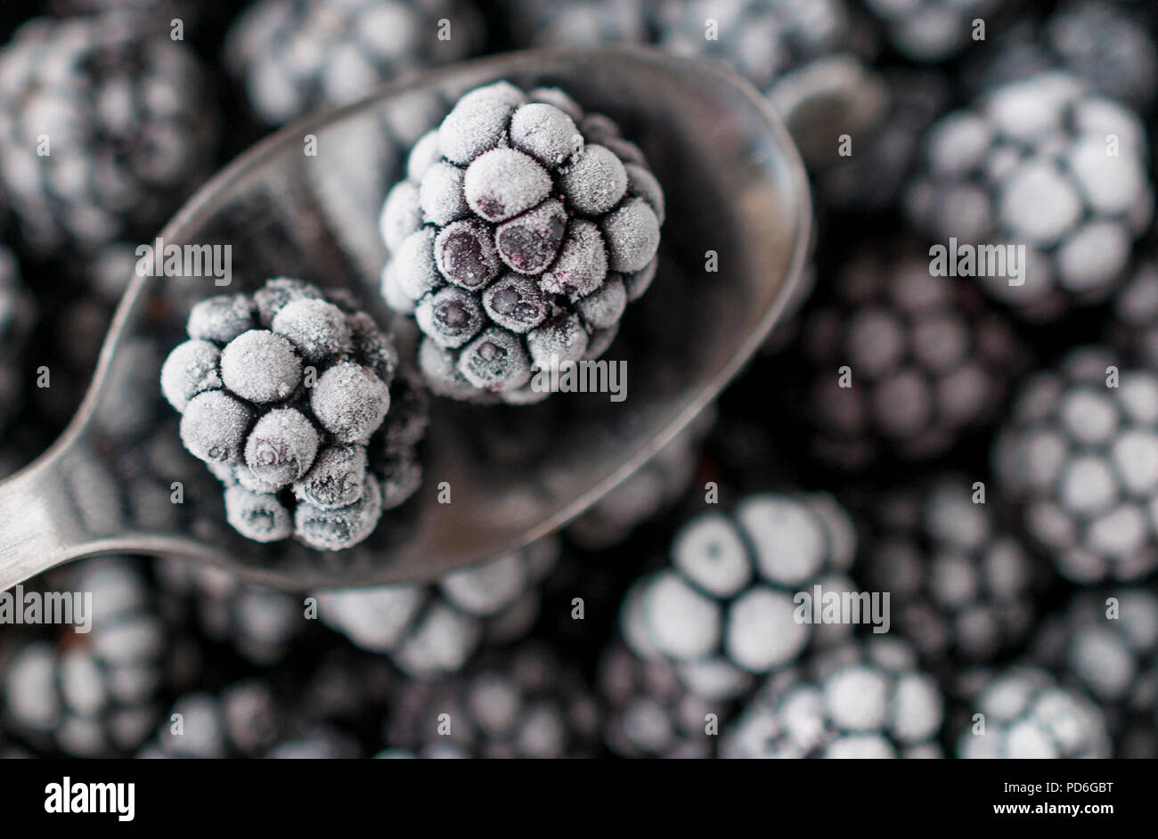 Frozen blackberries on a spoon with blackberries background Stock Photo