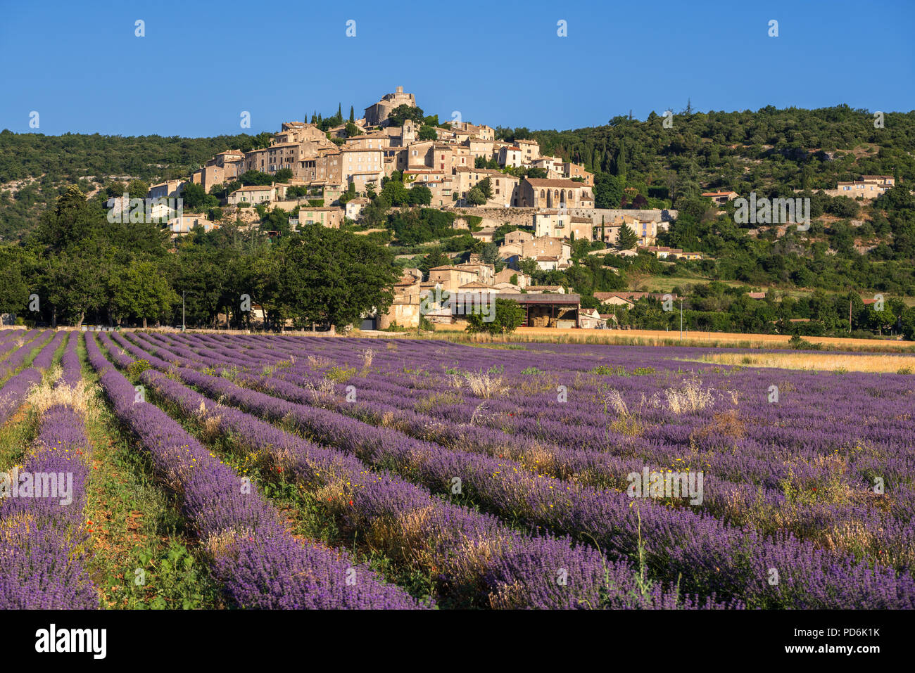 The village of Simiane-la-Rotonde in summer with lavender fields. Alpes-de-Hautes-Provence, Alps, France Stock Photo