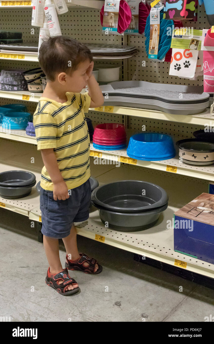 Toddler looking at dog food bowls, PetSmart pet store, Kennewick, Washington, USA Stock Photo