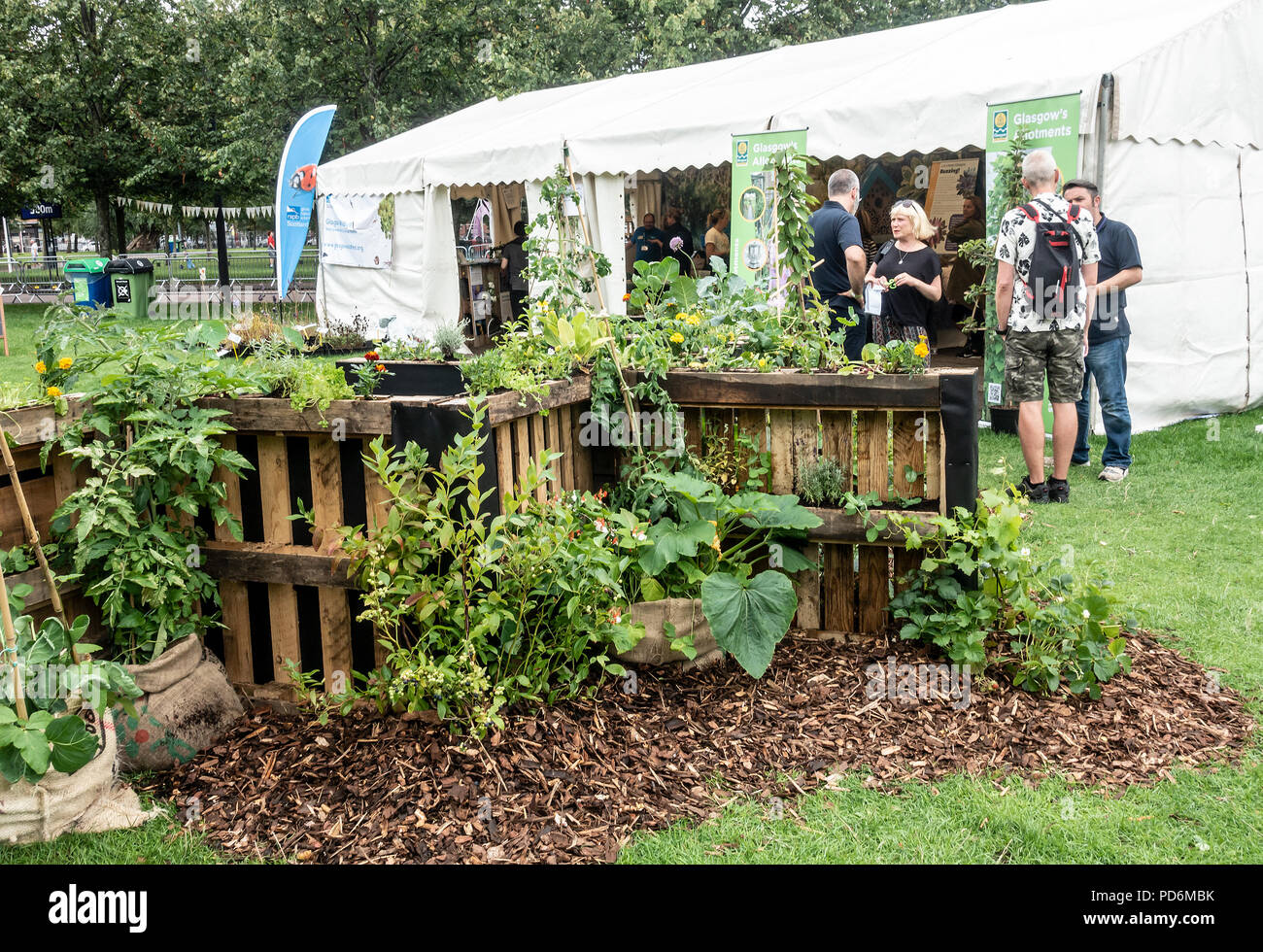 Representatives from Glasgow's allotments engaging with the public in Glasgow Green, as part of Go Live! at the green, part of Festival 2018. Stock Photo