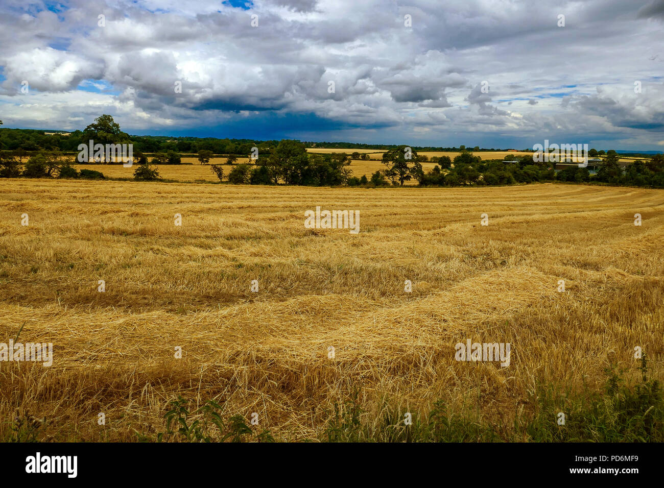 Catterick, North Yorkshire, England, UK Stock Photo Alamy