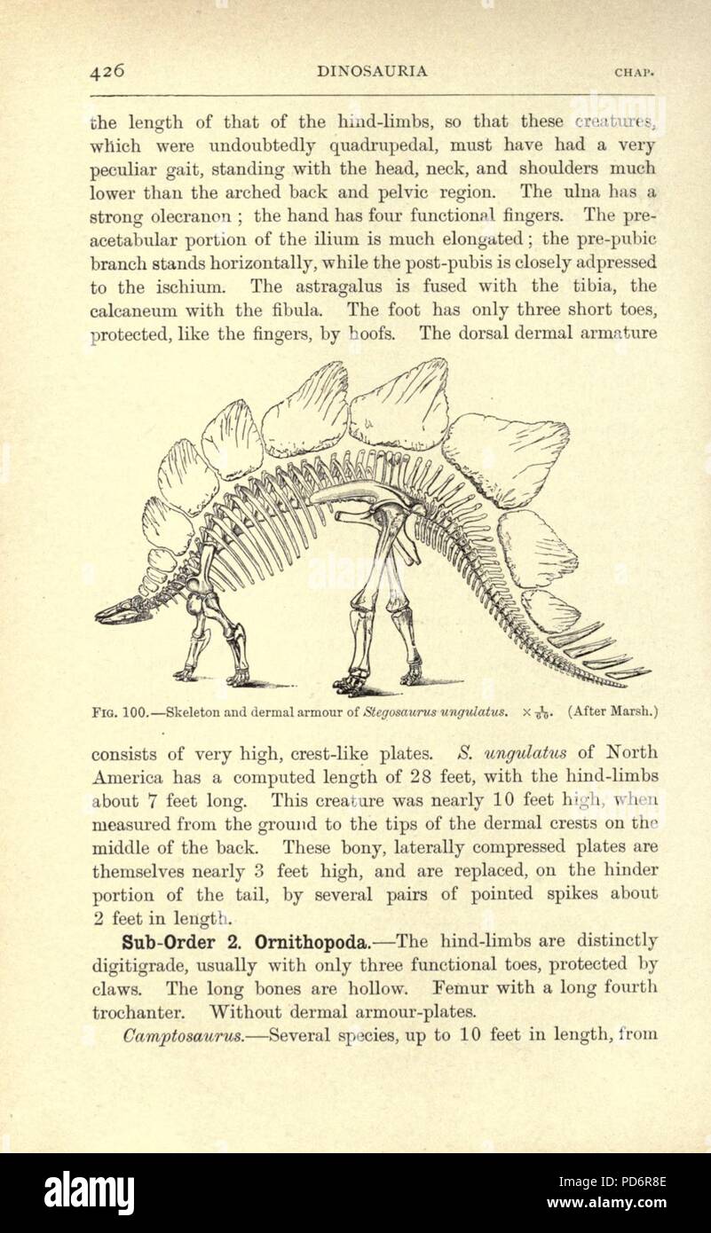 Amphibia and reptiles (Page 426, Fig. 100) Stock Photo
