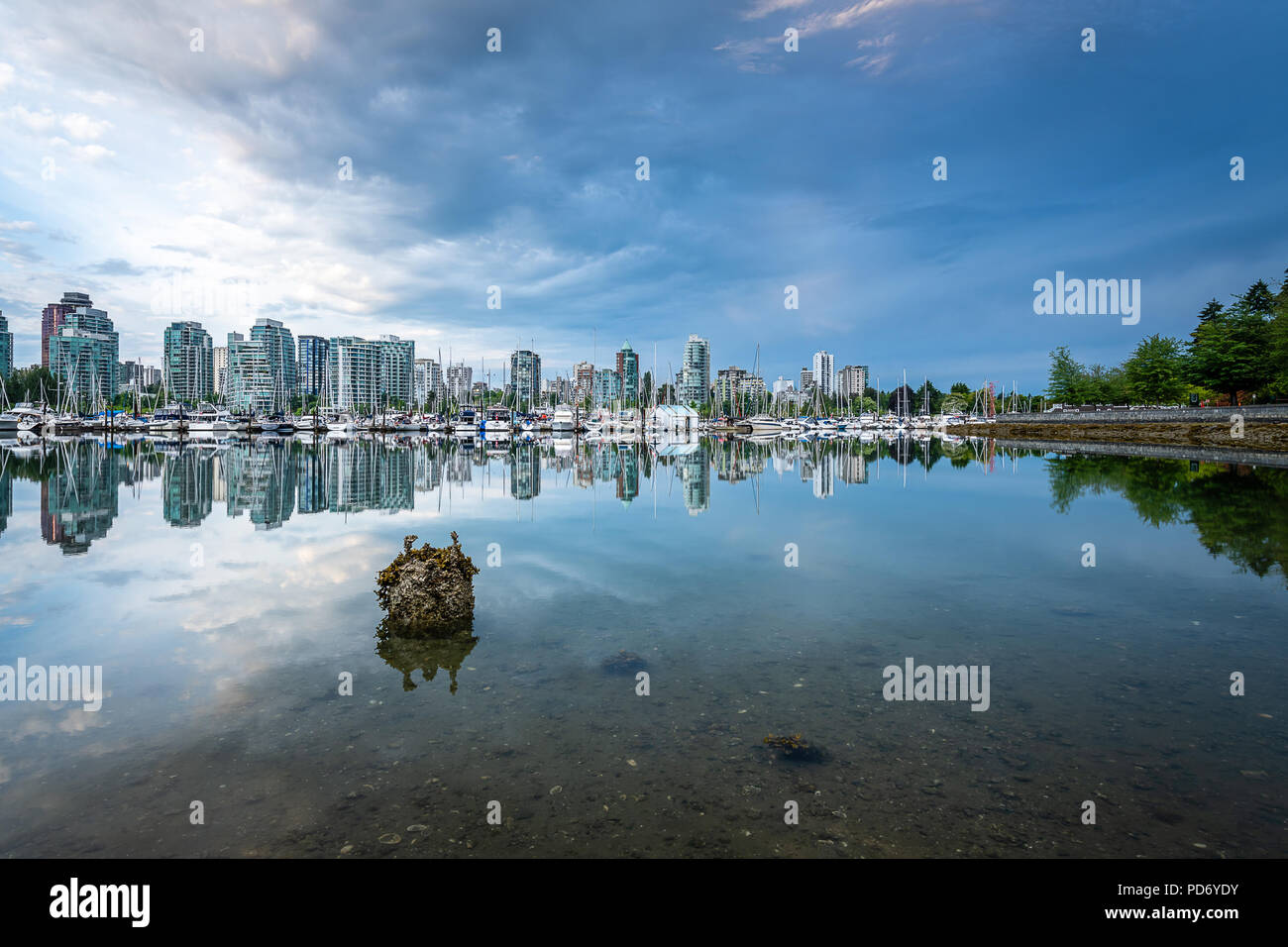 Vancouver Skyline from the Stanley Park Seawall Stock Photo - Alamy
