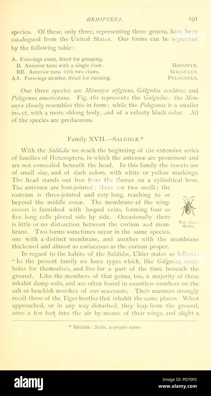 Page191