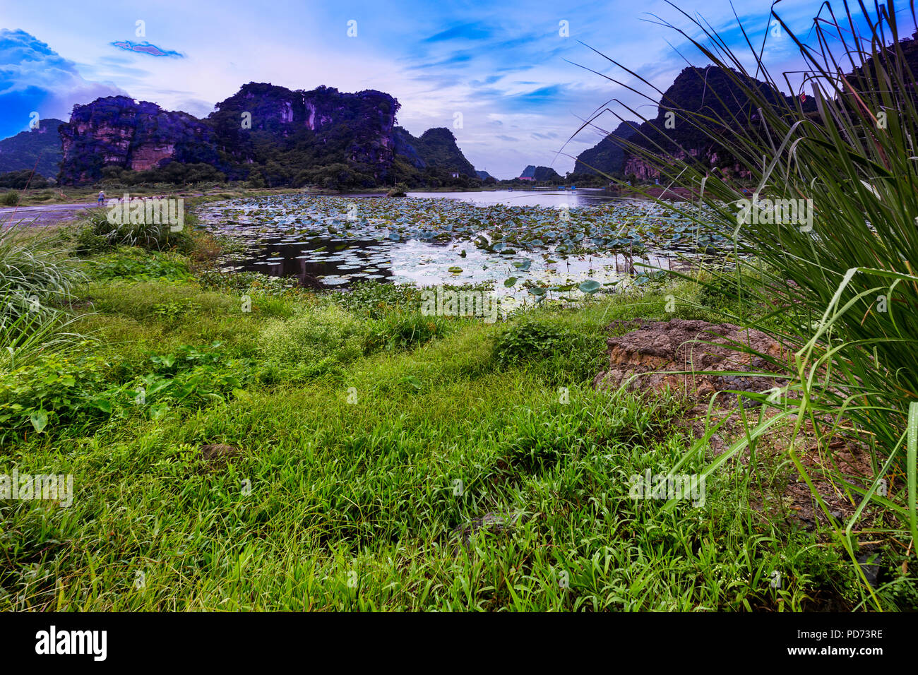 Rural meadow in Ninh Binh Providence, Vietnam. Stock Photo