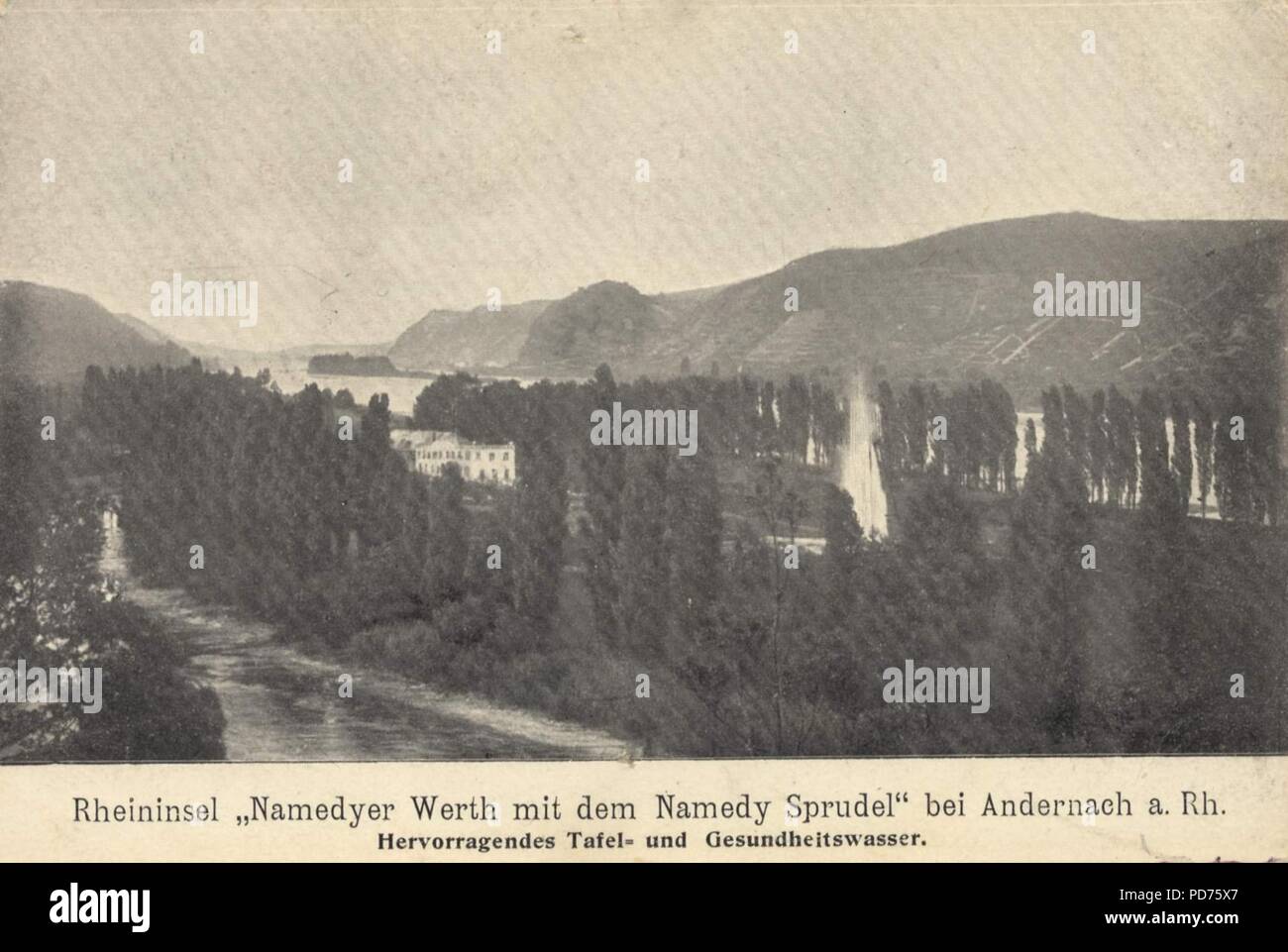 Andernach Rheinland Pfalz Rheininsel Namedyer Werth Zeno