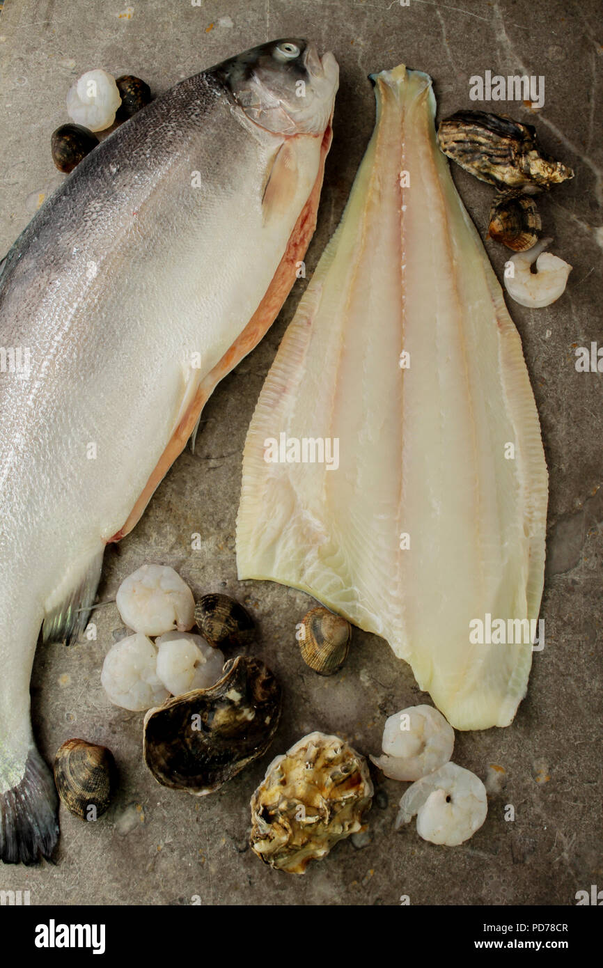 fresh fish and shellfish Stock Photo Alamy