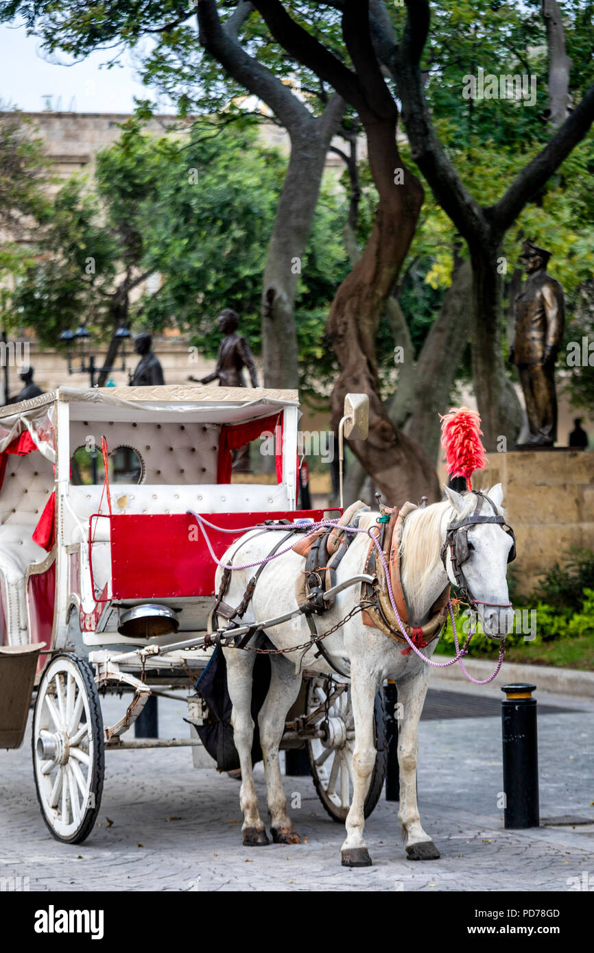 A horse drawn carriage in downtown Guadalajara, Mexico. Stock Photo