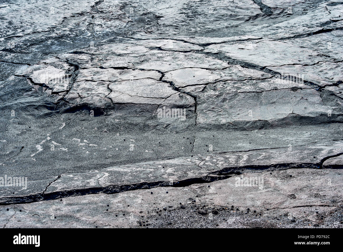 Dry cracked earth. The concept of global warming Stock Photo - Alamy